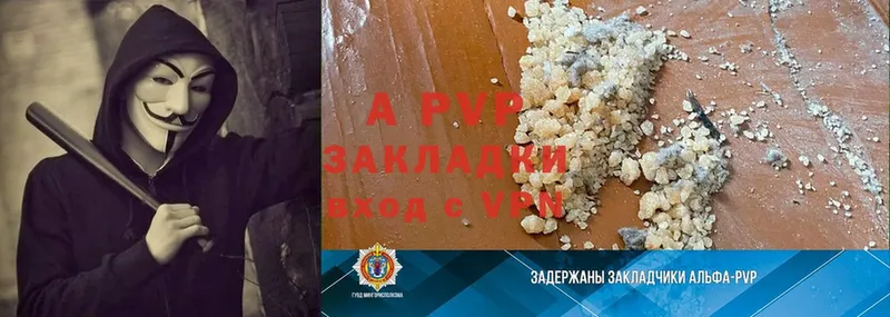 A PVP СК КРИС  Грозный 